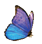 Butterfly Dancer